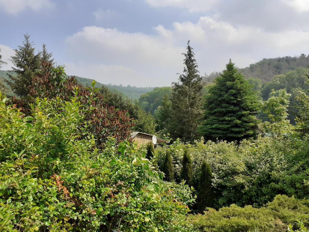 Talblick 2 - Ihr Zuhause : Das Ferienhaus Mitten Im Idyllischen Tal バート・ビーブラ エクステリア 写真