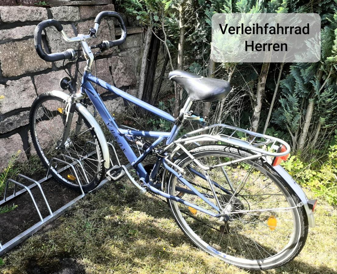 Talblick 2 - Ihr Zuhause : Das Ferienhaus Mitten Im Idyllischen Tal バート・ビーブラ エクステリア 写真